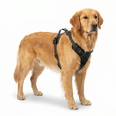 TrailGuard—No-Pull Dog Harness — Adjustable Reflective Safety Harness with Front & Back Leash Clips
