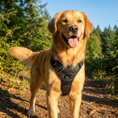 TrailGuard—No-Pull Dog Harness — Adjustable Reflective Safety Harness with Front & Back Leash Clips
