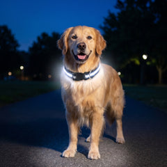 GlowGuard-LED Dog Safety Collar — Rechargeable Night Visibility Collar in 7 Vibrant Colors