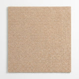 ScratchGuard — Self-Adhesive Cat Scratch Mat — Furniture Protector & Scratching Surface