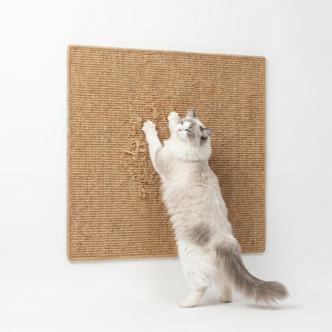 ScratchGuard — Self-Adhesive Cat Scratch Mat — Furniture Protector & Scratching Surface