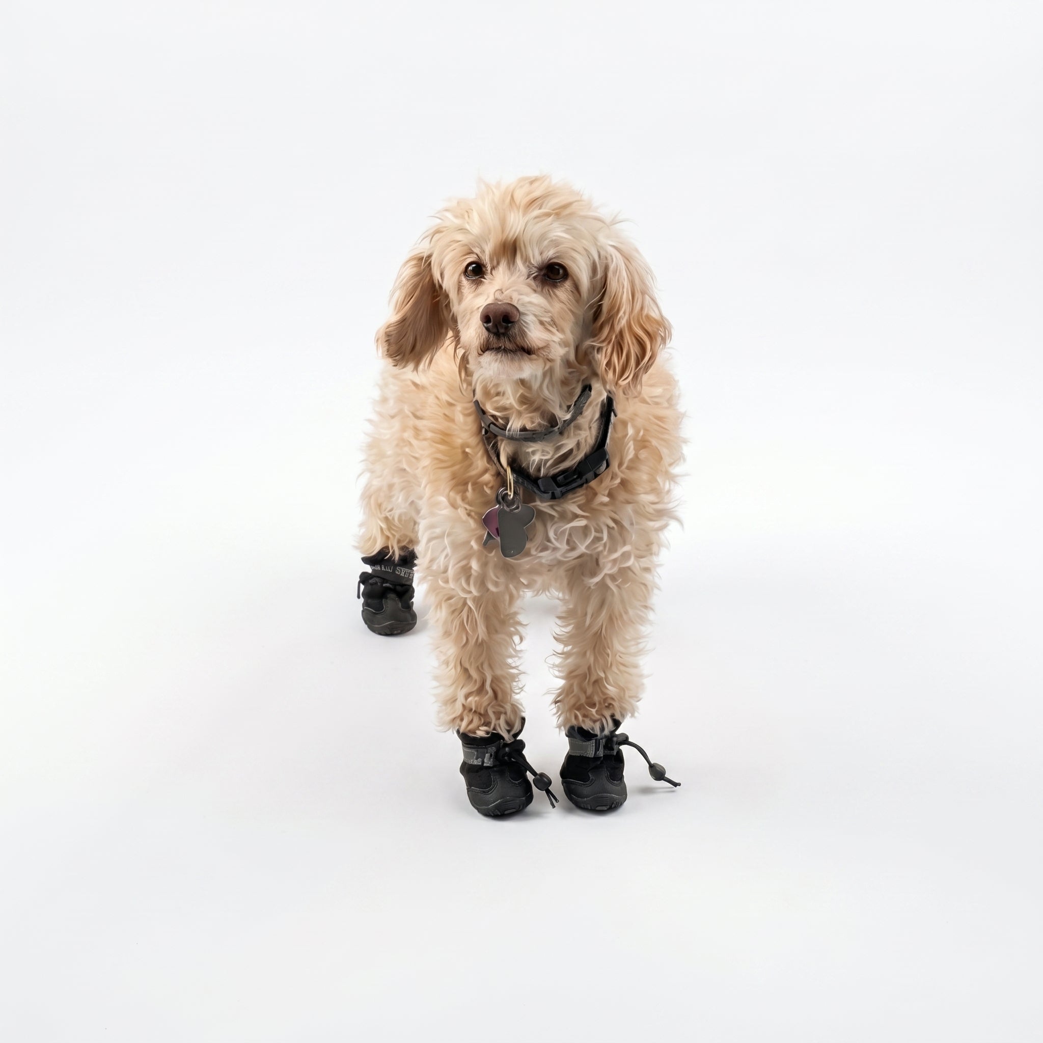 PawShield-Waterproof Anti-Slip Pet Boots — All-Weather Protective Shoes with Secure Drawstring Fit