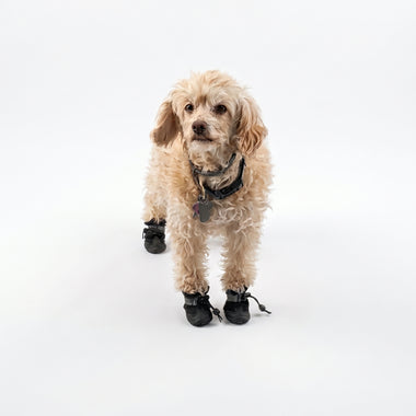 PawShield-Waterproof Anti-Slip Pet Boots — All-Weather Protective Shoes with Secure Drawstring Fit