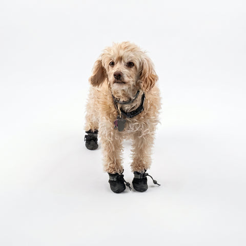 PawShield-Waterproof Anti-Slip Pet Boots — All-Weather Protective Shoes with Secure Drawstring Fit
