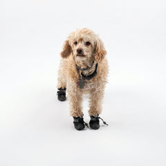 PawShield-Waterproof Anti-Slip Pet Boots — All-Weather Protective Shoes with Secure Drawstring Fit