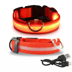 GlowGuard-LED Dog Safety Collar — Rechargeable Night Visibility Collar in 7 Vibrant Colors