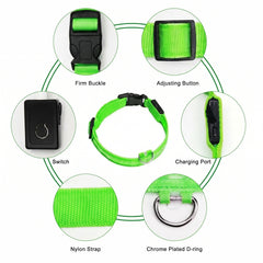 GlowGuard-LED Dog Safety Collar — Rechargeable Night Visibility Collar in 7 Vibrant Colors